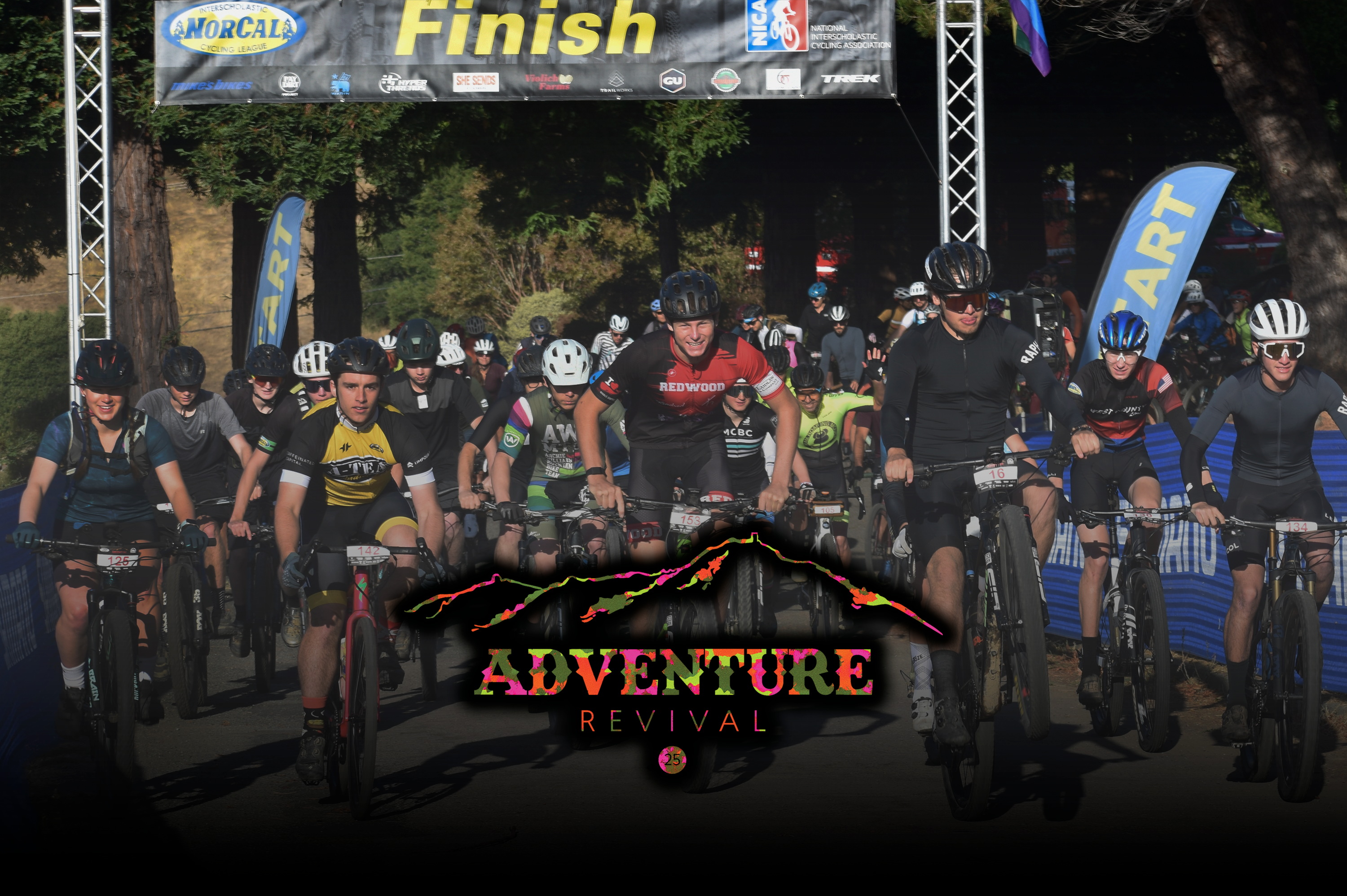 ibis bike giveaway